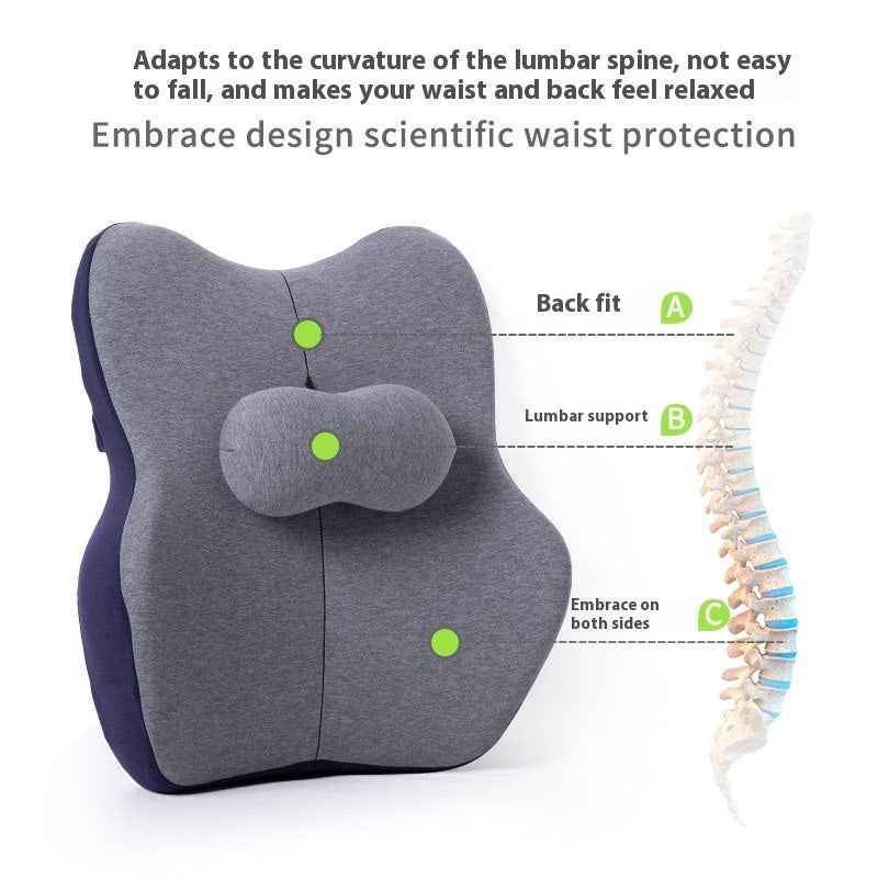 Ergonovia Lumbar Support Back Pillow for Chair & Desk