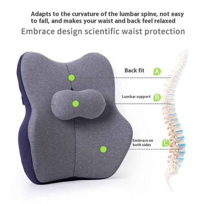 Ergonovia Lumbar Support Back Pillow for Chair & Desk