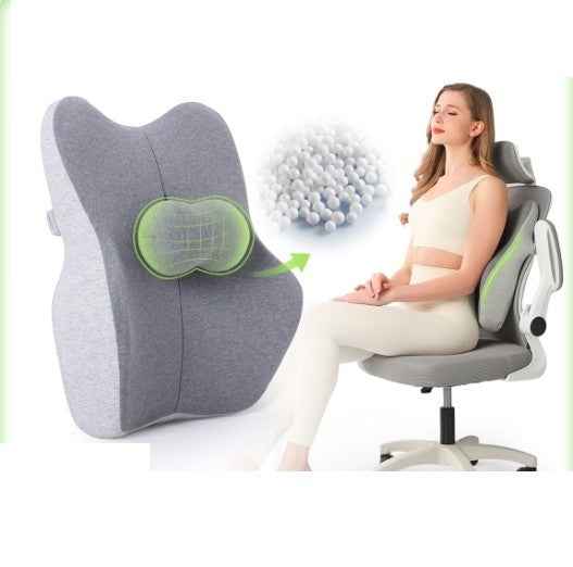Ergonovia Lumbar Support Back Pillow for Chair & Desk